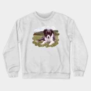 Border Collie Painting Crewneck Sweatshirt